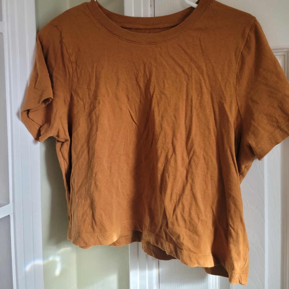 Madewell Cropped Tan T-Shirt